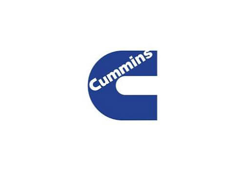 type of cumins