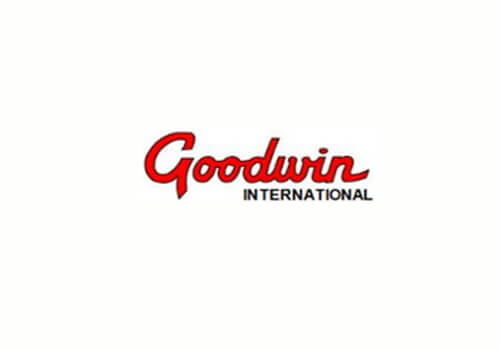 type of goodwin2